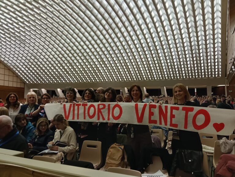 Meeting IRC con papa Leone XIV